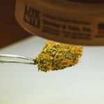 Buy cannabis in Hamburg image_141.jpg