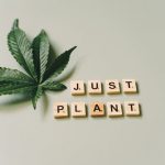 Marijuana store in Monaco image_154.jpg