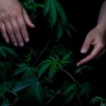 420 store in Wuppertal image_156.jpg