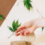 Cannabis shop in Netherlands image_217.jpg