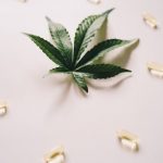 Cannabis shop in Piza image_224.jpg