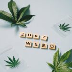 Cannabis store in Slovenia image_246.jpg