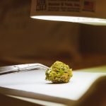 Weed shop in Luxembourg image_298.jpg