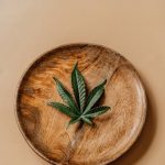 Weed store in Varna image_360.jpg