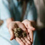 Buy hashish in Zermatt image_394.jpg