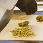 THC weed in Belgium image_421.jpg