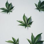 Weed delivery in Italy image_500.jpg