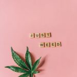 Buy THC cannabis in Crete image_541.jpg