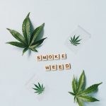 Cannabis shop in Madrid image_543.jpg