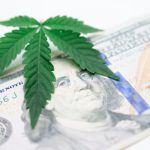 THC weed in Milan image_550.jpg