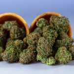 420 shop in Essen image_647.jpg