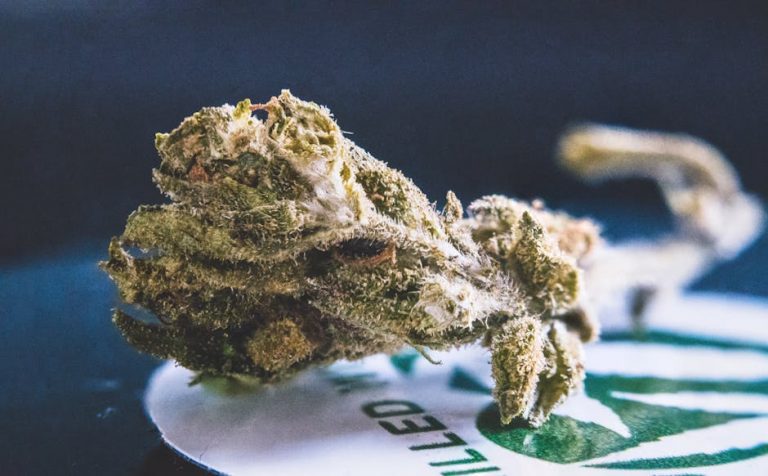 Buy hashish in Nuremberg