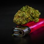 Marijuana shop in Bergen image_702.jpg