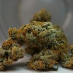 Cannabis shop in Prague image_704.jpg