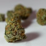 Buy hashish in Malmo image_718.jpg