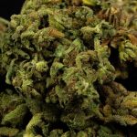 Cannabis shop in Lodz image_727.jpg