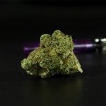 Marijuana store in Tallinn image_740.jpg