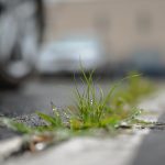 Buy weed in Salzburg image_761.jpg