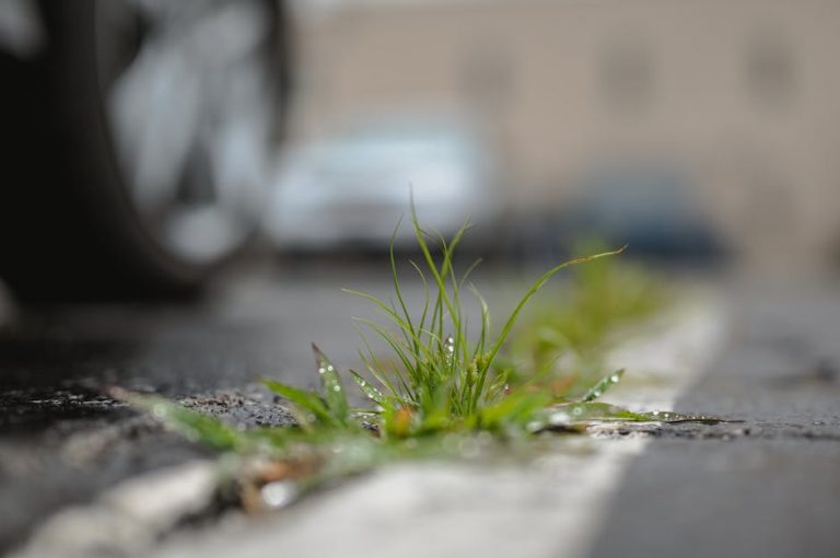 Buy weed in Salzburg