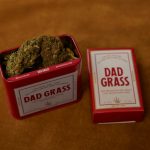 Weed store in Copenhagen image_897.jpg