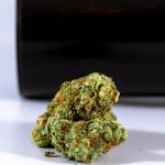 Weed shop in Malta image_904.jpg