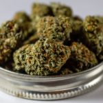 Cannabis store in Malaga image_919.jpg